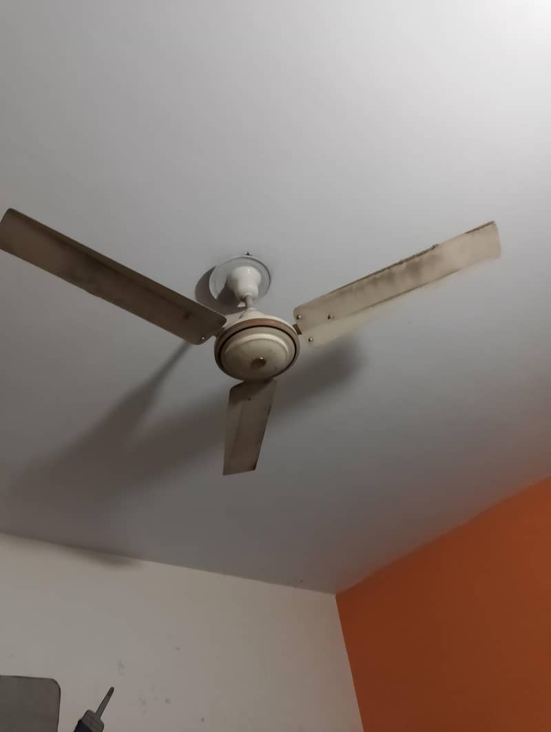 three fan 1