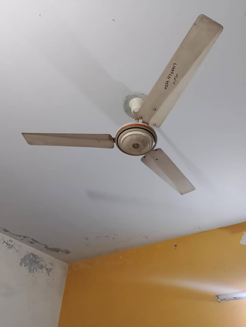 three fan 2