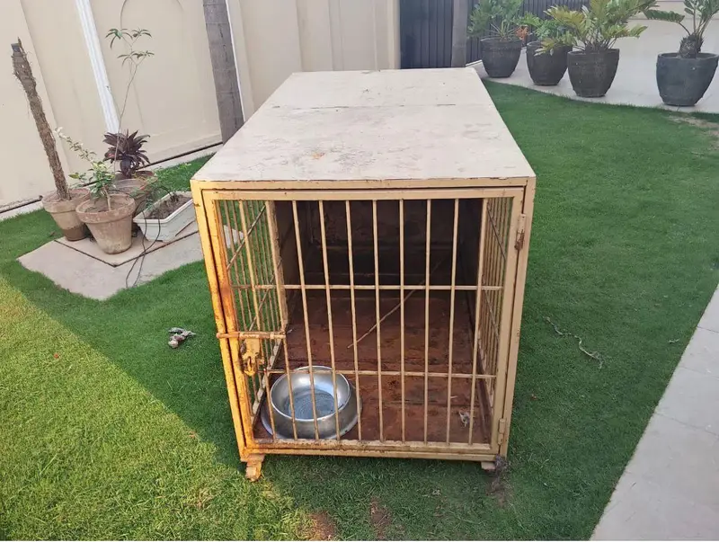 dog cage with sheet — photo 3