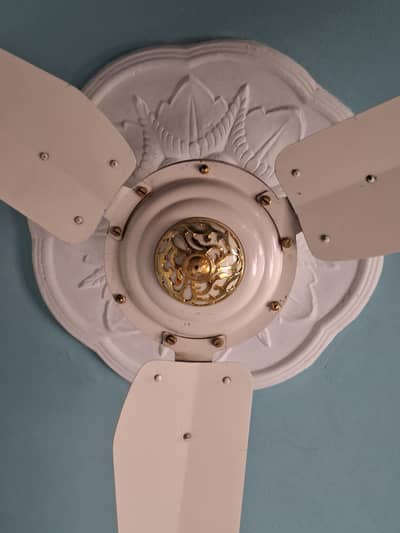 Al sheikh fans. 2 pcs