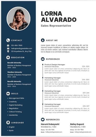 professional CV/ Resume