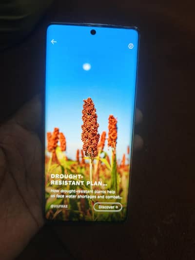 Infinix Hot 50 Pro Plus