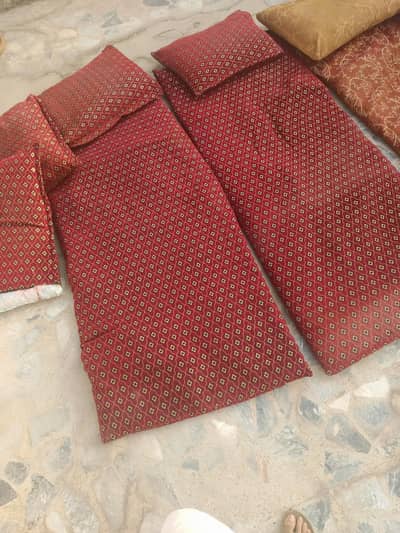 6 Cushions and 3 Toshak