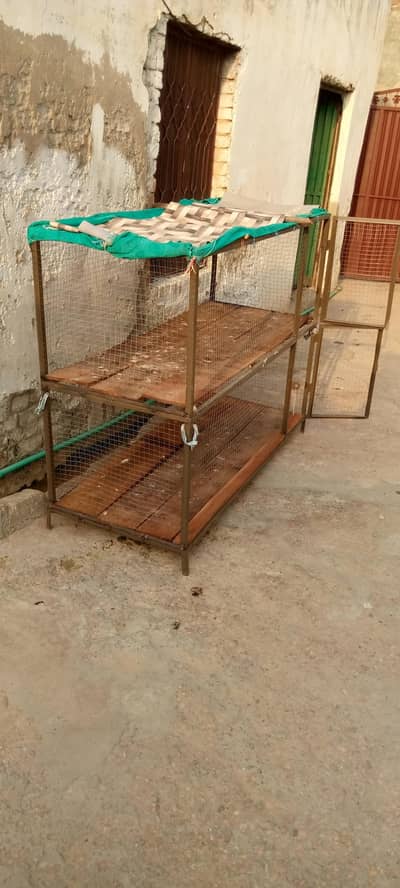 dasi hens male (nar) 0 3 1 3 3 846 755