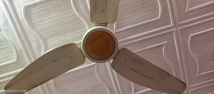 GFC Fan 56 inch
