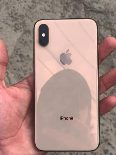 Apple iPhone X