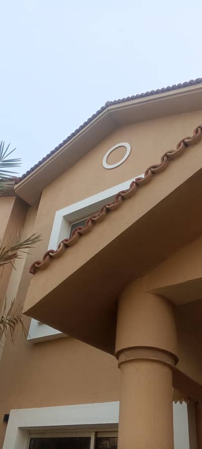 Painter services available