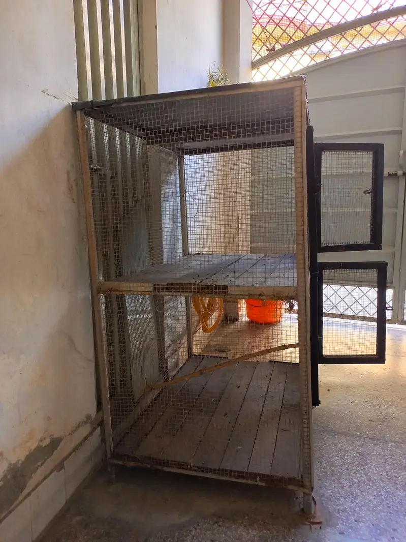 Heavy Duty Iron Bird/Pet Cage for Sale — photo 3
