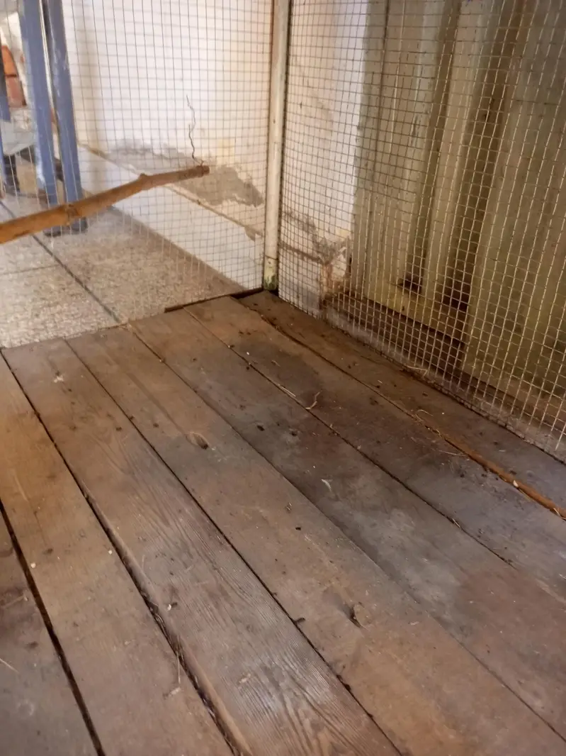 Heavy Duty Iron Bird/Pet Cage for Sale — photo 4