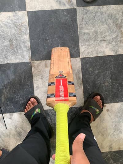 GrayNicols bat 10/9