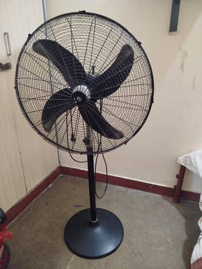 Pedestal Fan (Excellent condition)