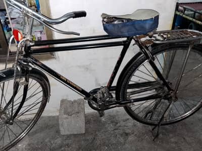 Sohrab 22 inch