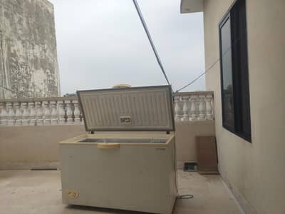 waves freezer for sale