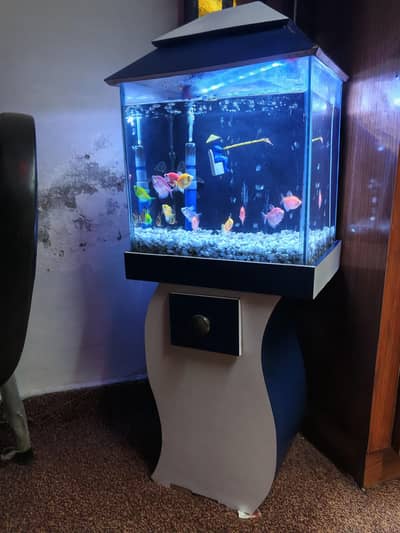 10/9 condition fish aquarium