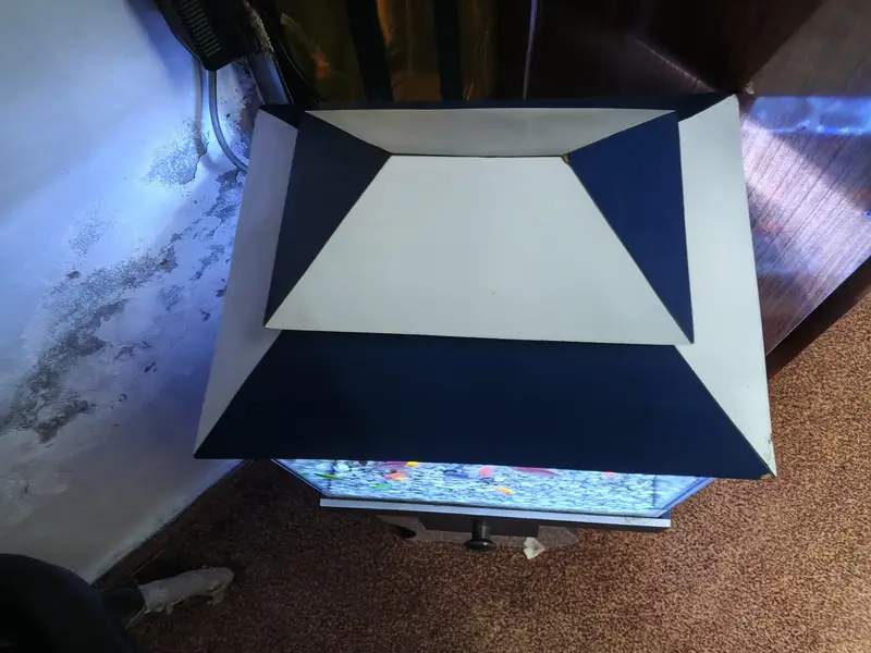 10/9 condition fish aquarium — photo 2