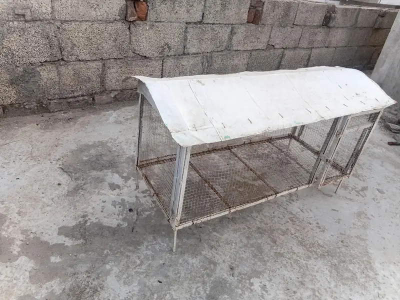 Cage - Pinjra for sale — photo 2