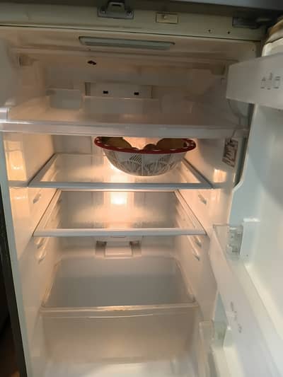 LG full size fridge