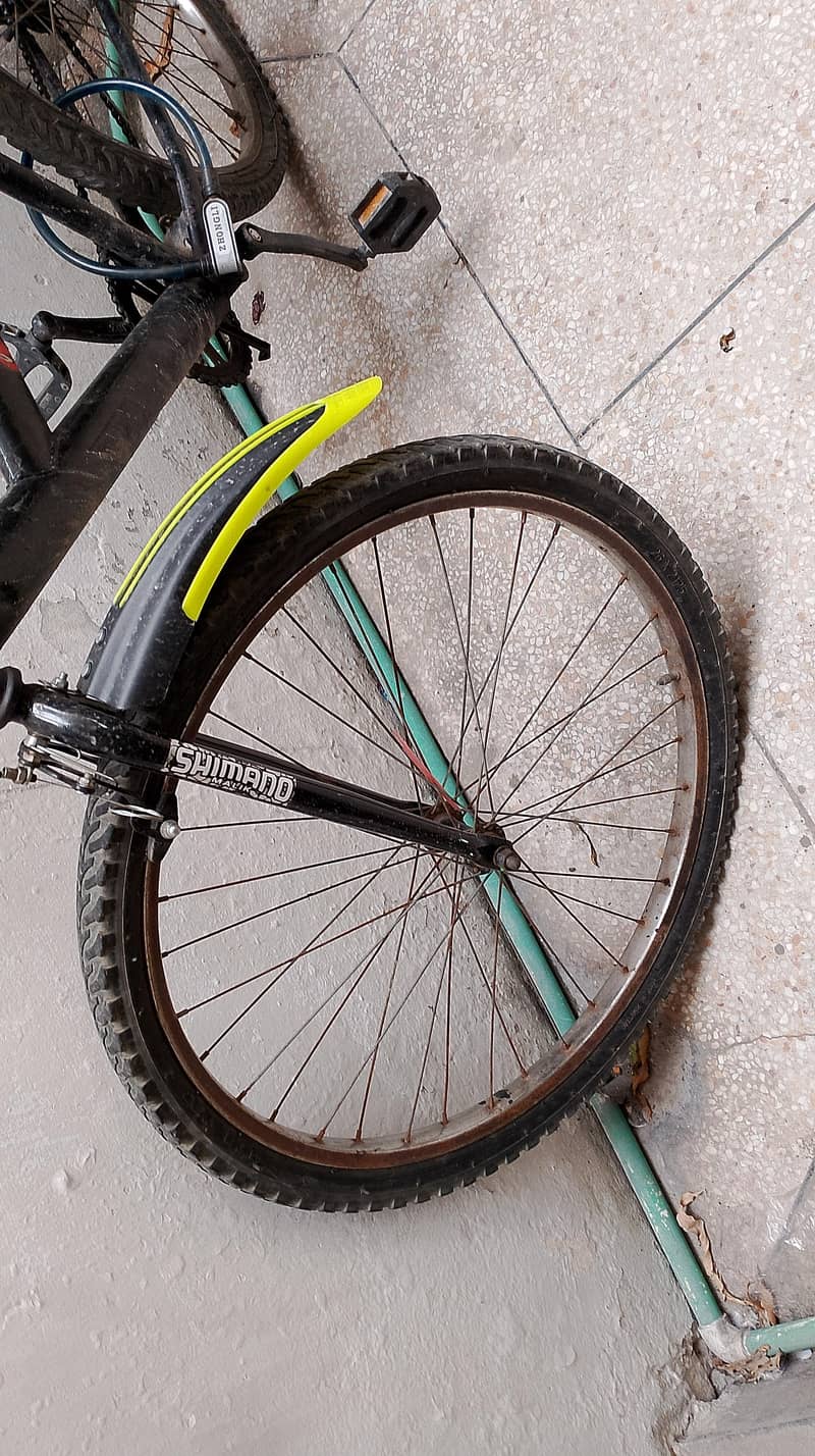 cycle 2