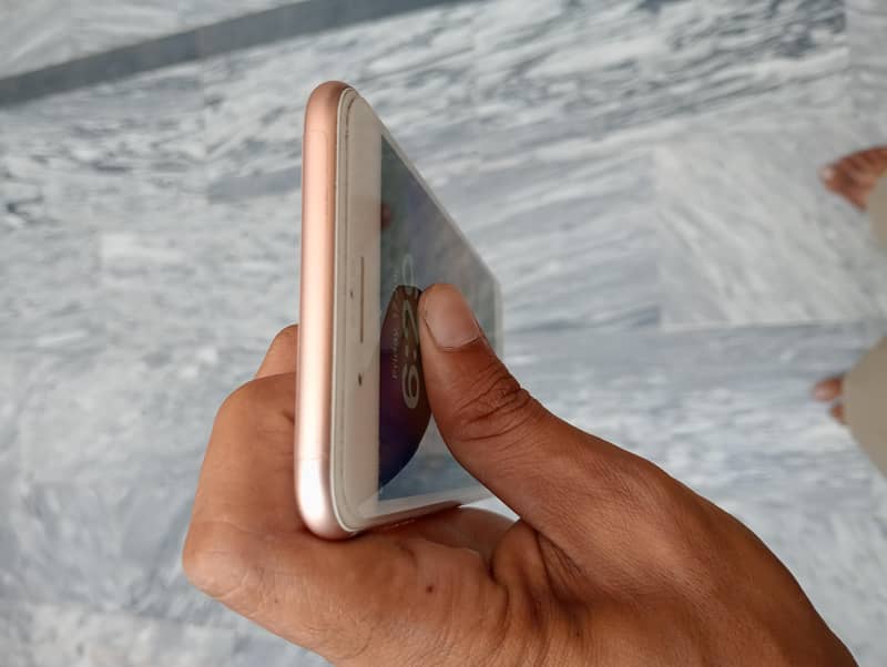 Apple iPhone 8 Plus 0