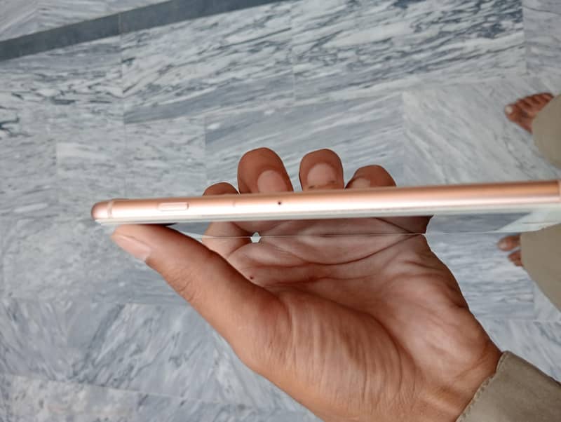 Apple iPhone 8 Plus 1