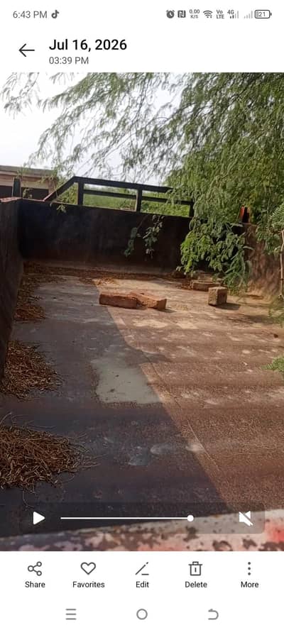 tarali for sale