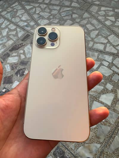 Apple iPhone 13 Pro Max