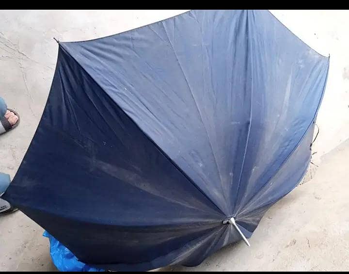 umbrella 0