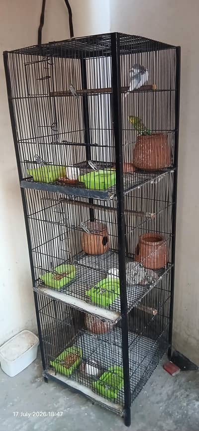 parrot cage with 2 pair of parrots