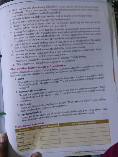 assignment writing