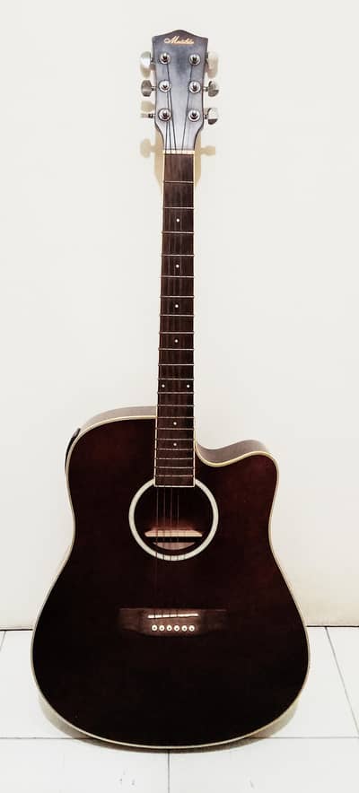 professional guitar with all accessories