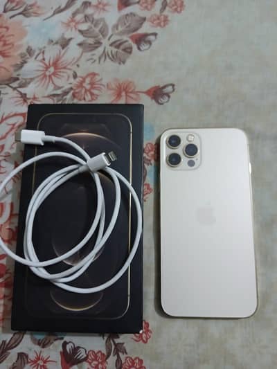 Apple iPhone 12 Pro