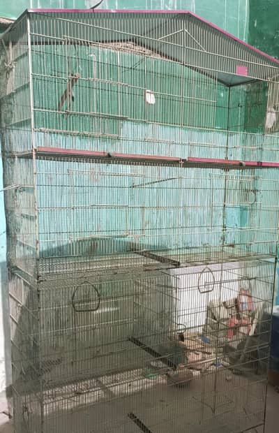 Bird Cage for Sale – Strong & Spacious