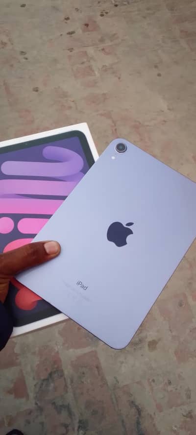 ipad mini 6