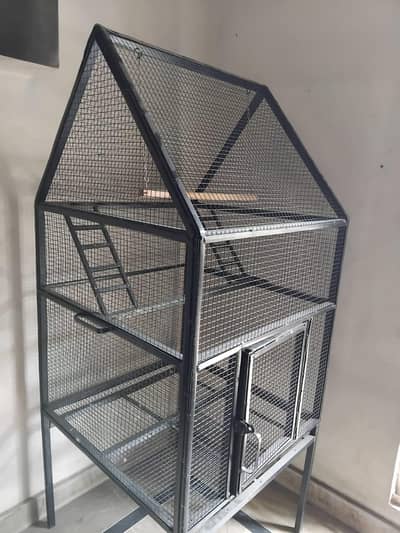 Parrot Cage