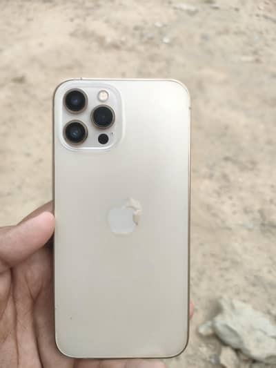 Apple iPhone 12 Pro Max
