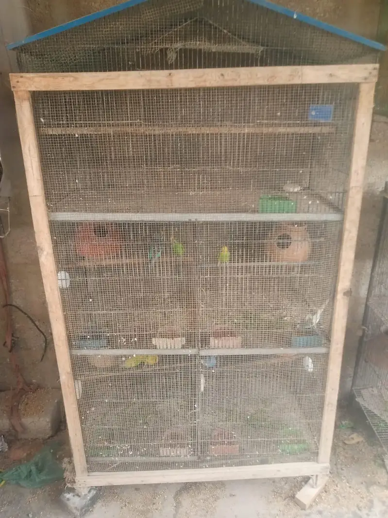 iron Cage — photo 4