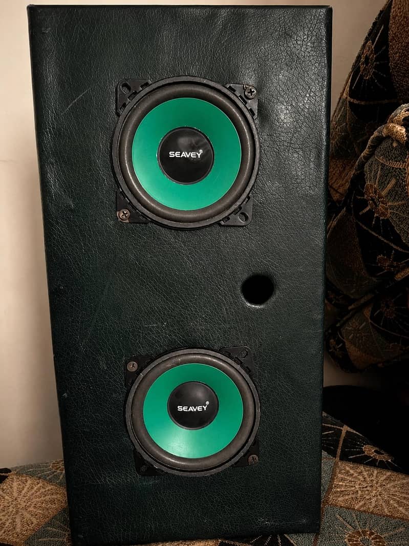 speaker audio 0