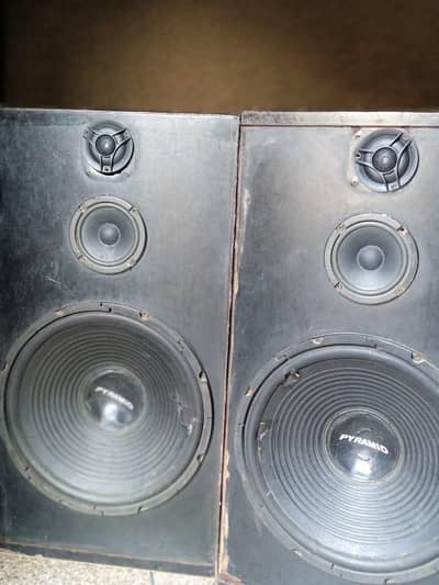 paramid 15inch speaker 0.3. 1.2. 4.3. 5.3. 5.7. 3