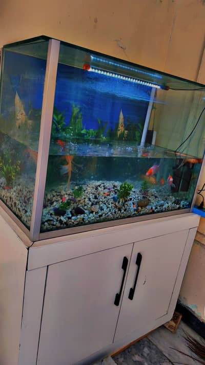 Aquarium fish house