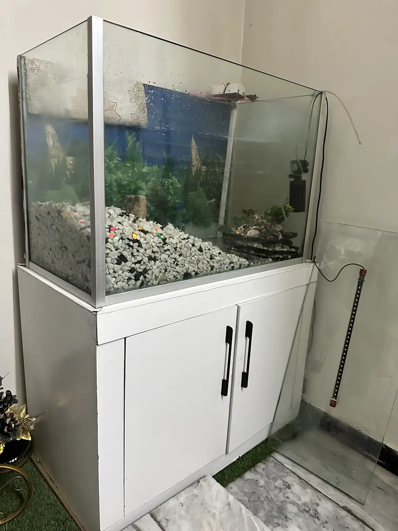 Aquarium fish house — photo 2