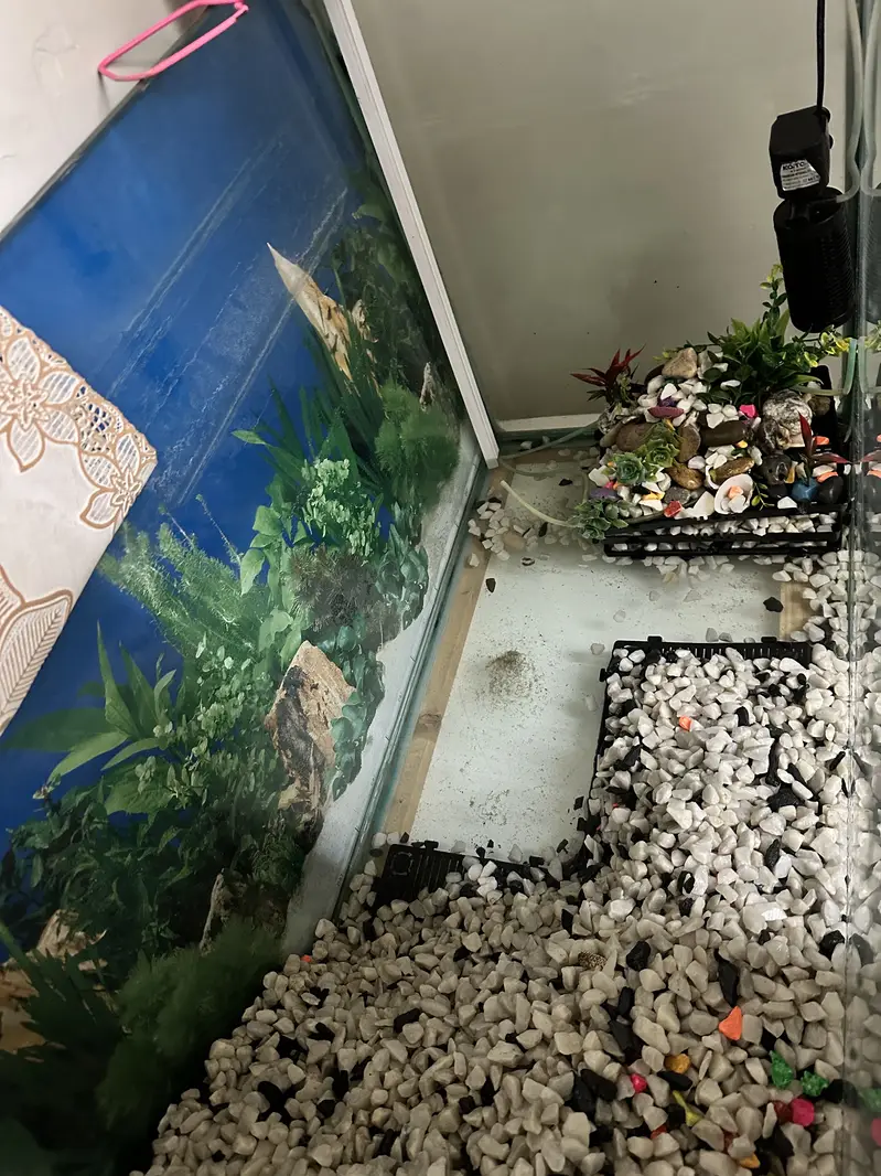Aquarium fish house — photo 5