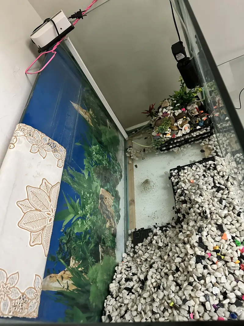 Aquarium fish house — photo 6