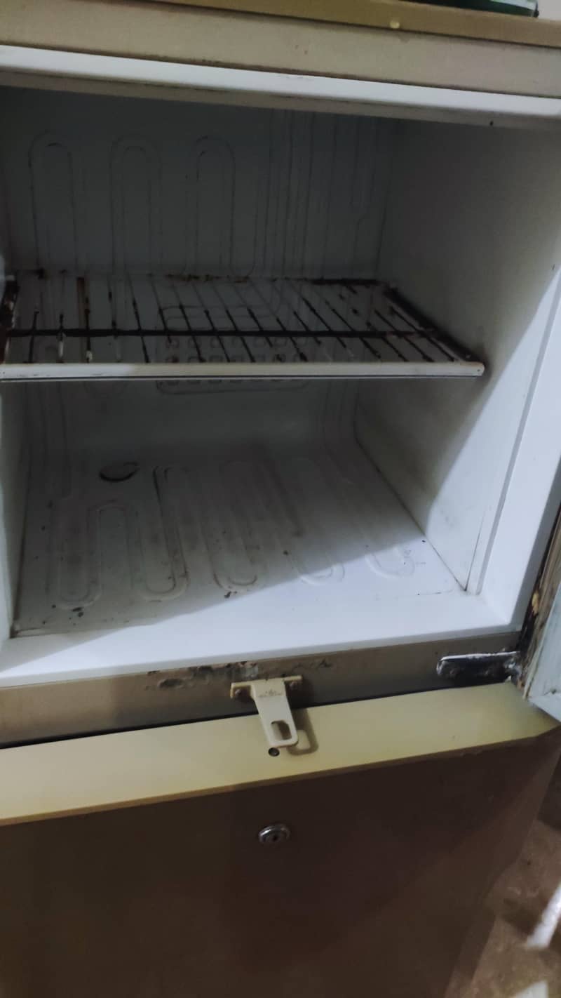 freezer 1