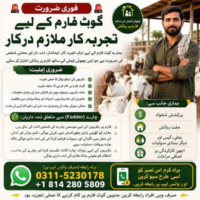 Goat Farm Manage Required Jobs - Farm Jobs