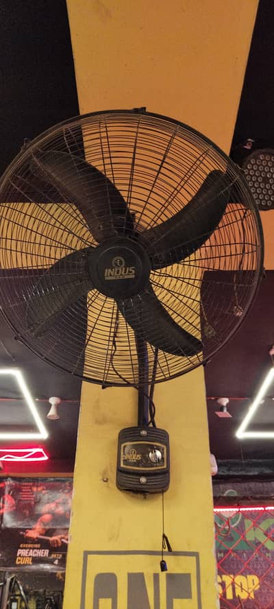 Bracket Fan
