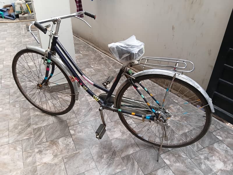 Lady byecycle 0