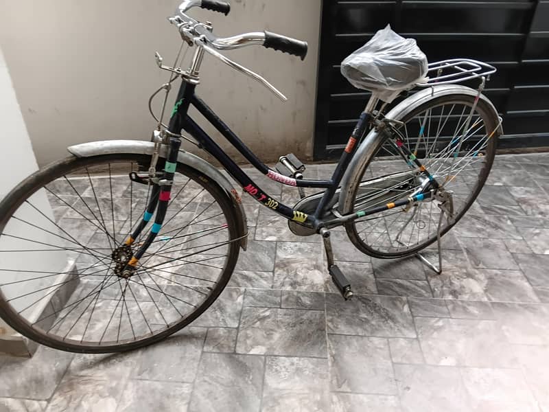 Lady byecycle 2
