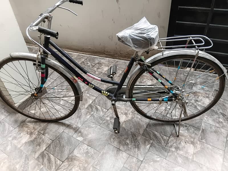Lady byecycle 3