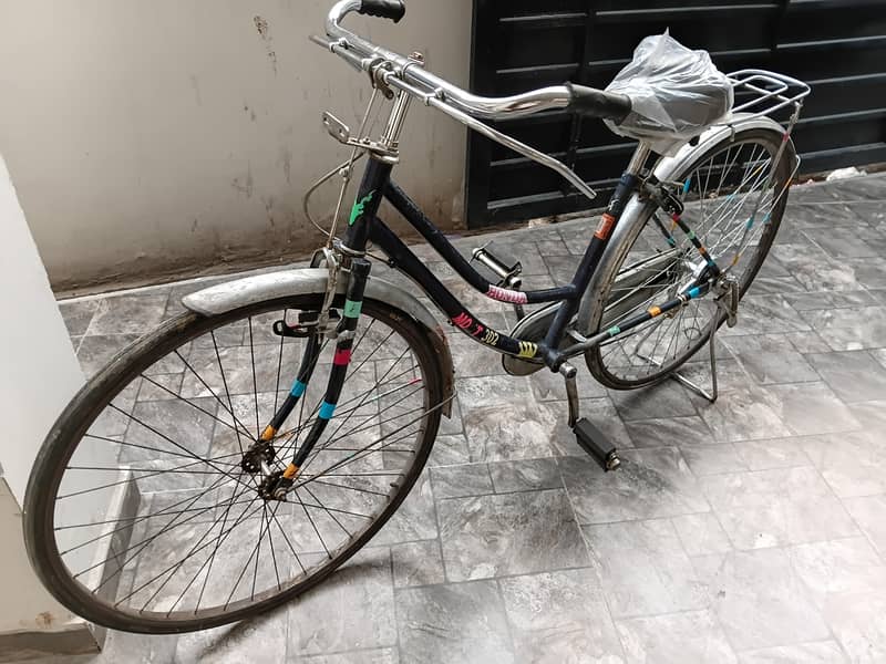 Lady byecycle 4