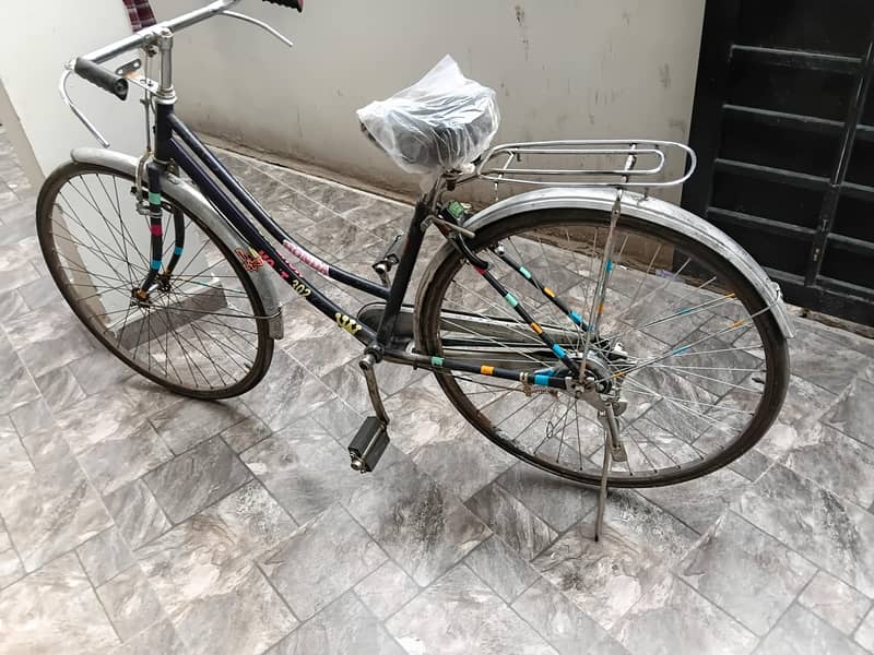 Lady byecycle 5